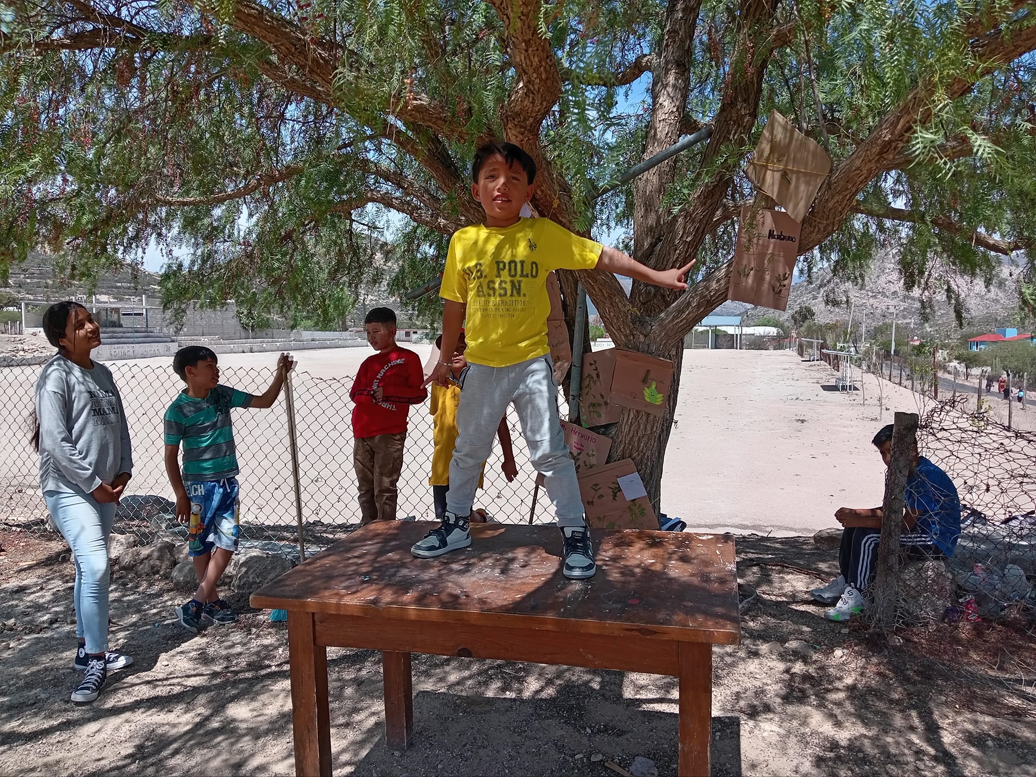 Entrada: Florecer comunitariamente: Semillero Creativo de Teatro y Lengua en Zimapán, Hidalgo